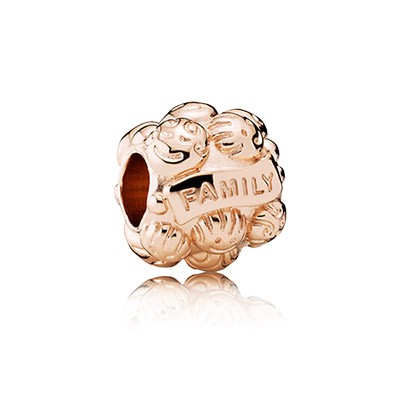 Pandora Rose Colour Silver Family Charm