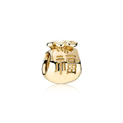 Pandora Moneybags Charm