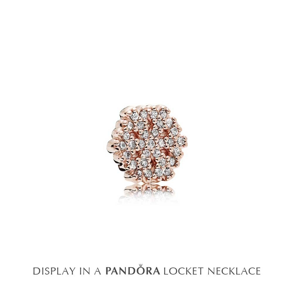 Pandora RoseShimmering Snowflake Petite Locket Charm 782166CZ